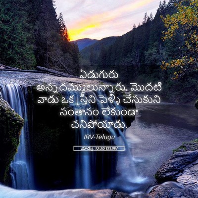 Picture 05 - మార్కు 12:20 TELIRV - ఏడుగురు - Bible Verse Picture