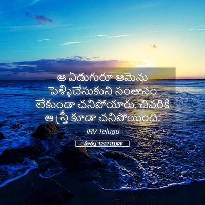 Picture 05 - మార్కు 12:22 TELIRV - ఆ ఏడుగురూ ఆమెను - Bible Verse Picture