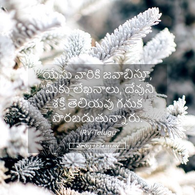 Picture 05 - మార్కు 12:24 TELIRV - యేసు వారికి - Bible Verse Picture