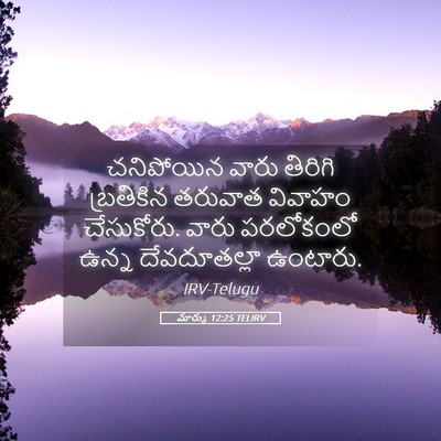 Picture 05 - మార్కు 12:25 TELIRV - చనిపోయిన వారు - Bible Verse Picture