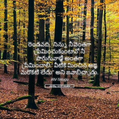 Picture 05 - మార్కు 12:31 TELIRV - రెండవది, ‘నిన్ను - Bible Verse Picture