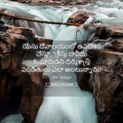 Picture 05 - మార్కు 12:35 TELIRV - యేసు దేవాలయంలో - Bible Verse Picture