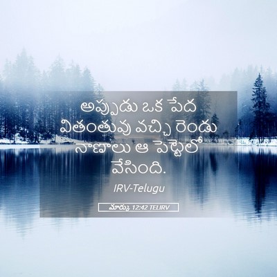 Picture 05 - మార్కు 12:42 TELIRV - అప్పుడు ఒక పేద - Bible Verse Picture