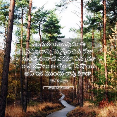 Picture 05 - మార్కు 13:19 TELIRV - ఎందుకంటే దేవుడు ఈ - Bible Verse Picture