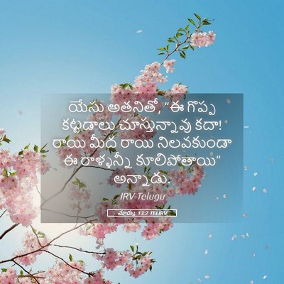 Picture 05 - మార్కు 13:2 TELIRV - యేసు అతనితో, “ఈ - Bible Verse Picture