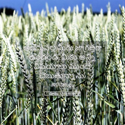 Picture 05 - మార్కు 13:23 TELIRV - అందువల్ల మీరు - Bible Verse Picture