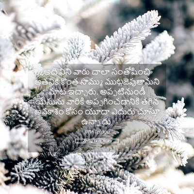 Picture 05 - మార్కు 14:11 TELIRV - అది విని వారు చాలా - Bible Verse Picture