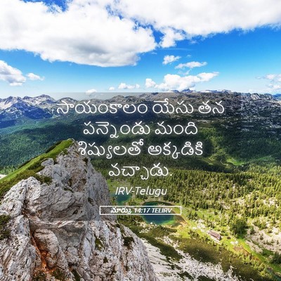 Picture 05 - మార్కు 14:17 TELIRV - సాయంకాలం యేసు తన - Bible Verse Picture