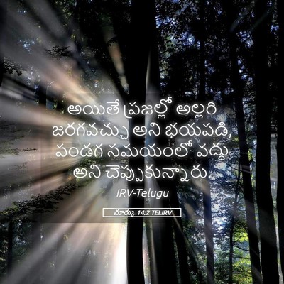 Picture 05 - మార్కు 14:2 TELIRV - అయితే ప్రజల్లో - Bible Verse Picture