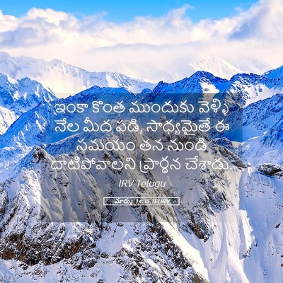 Picture 05 - మార్కు 14:35 TELIRV - ఇంకా కొంత ముందుకు - Bible Verse Picture