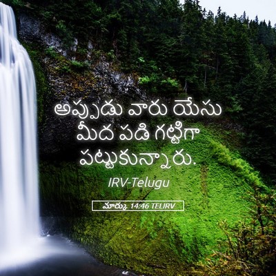 Picture 05 - మార్కు 14:46 TELIRV - అప్పుడు వారు యేసు - Bible Verse Picture