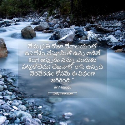 Picture 05 - మార్కు 14:49 TELIRV - నేను ప్రతి రోజూ - Bible Verse Picture