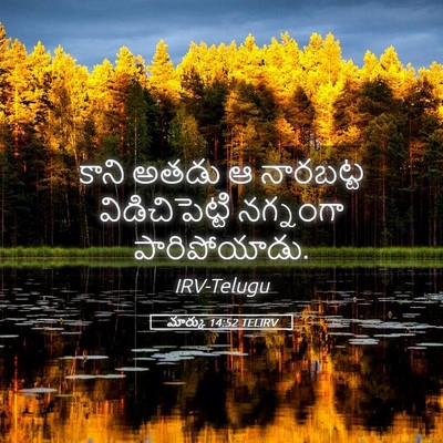 Picture 05 - మార్కు 14:52 TELIRV - కాని అతడు ఆ - Bible Verse Picture