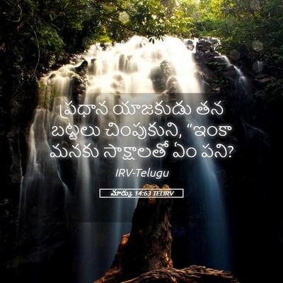 Picture 05 - మార్కు 14:63 TELIRV - ప్రధాన యాజకుడు తన - Bible Verse Picture