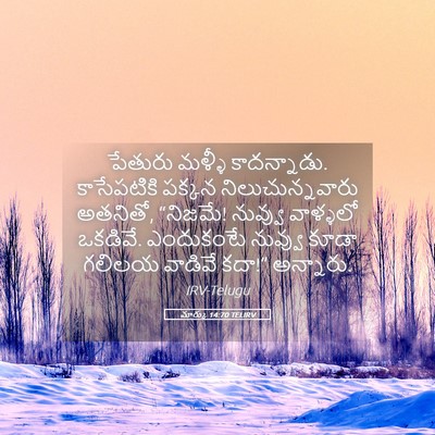 Picture 05 - మార్కు 14:70 TELIRV - పేతురు మళ్ళీ - Bible Verse Picture