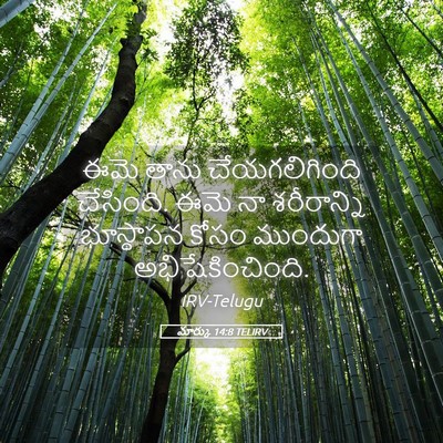 Picture 05 - మార్కు 14:8 TELIRV - ఈమె తాను - Bible Verse Picture