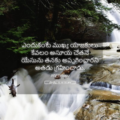 Picture 05 - మార్కు 15:10 TELIRV - ఎందుకంటే ముఖ్య - Bible Verse Picture