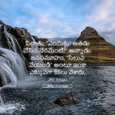 Picture 05 - మార్కు 15:14 TELIRV - పిలాతు, “ఎందుకు? - Bible Verse Picture