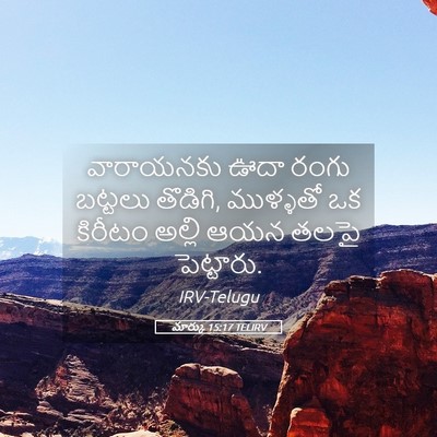Picture 05 - మార్కు 15:17 TELIRV - వారాయనకు ఊదా రంగు - Bible Verse Picture