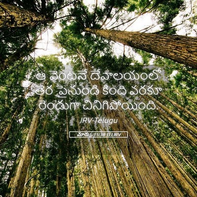 Picture 05 - మార్కు 15:38 TELIRV - ఆ వెంటనే - Bible Verse Picture