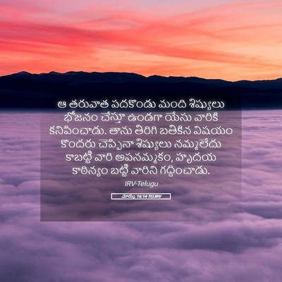 Picture 05 - మార్కు 16:14 TELIRV - ఆ తరువాత పదకొండు - Bible Verse Picture
