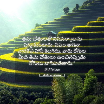 Picture 05 - మార్కు 16:18 TELIRV - తమ చేతులతో - Bible Verse Picture