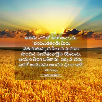 Picture 05 - మార్కు 16:6 TELIRV - అతడు వారితో ఇలా - Bible Verse Picture