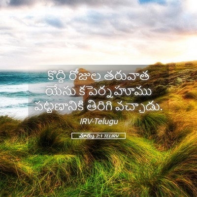 Picture 05 - మార్కు 2:1 TELIRV - కొద్ది రోజుల - Bible Verse Picture