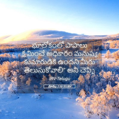 Picture 05 - మార్కు 2:10 TELIRV - భూలోకంలో పాపాలు - Bible Verse Picture