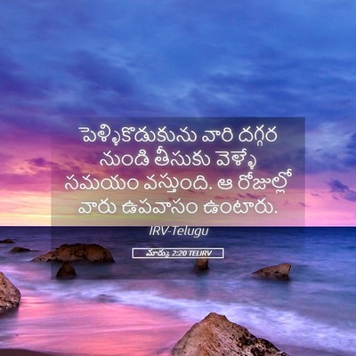 Picture 05 - మార్కు 2:20 TELIRV - పెళ్ళికొడుకును - Bible Verse Picture