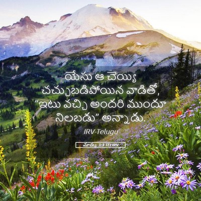Picture 05 - మార్కు 3:3 TELIRV - యేసు ఆ చెయ్యి - Bible Verse Picture
