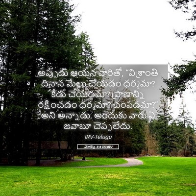 Picture 05 - మార్కు 3:4 TELIRV - అప్పుడు ఆయన - Bible Verse Picture