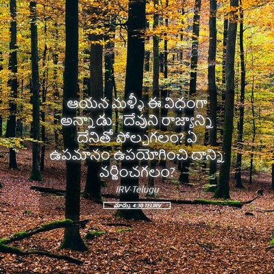 Picture 05 - మార్కు 4:30 TELIRV - ఆయన మళ్ళీ ఈ విధంగా - Bible Verse Picture