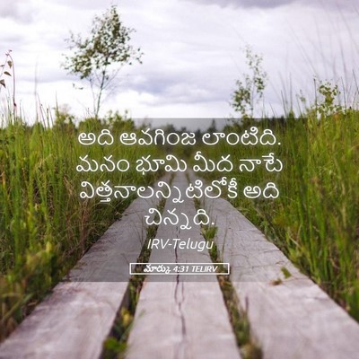 Picture 05 - మార్కు 4:31 TELIRV - అది ఆవగింజ - Bible Verse Picture