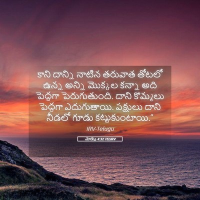 Picture 05 - మార్కు 4:32 TELIRV - కాని దాన్ని నాటిన - Bible Verse Picture