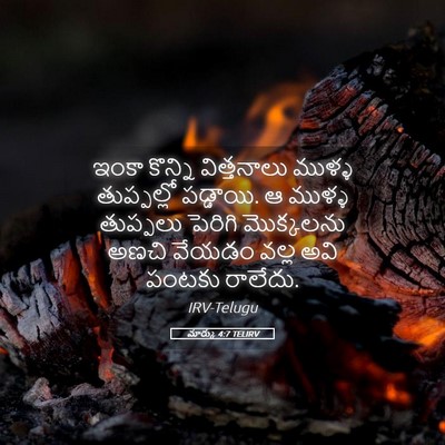 Picture 05 - మార్కు 4:7 TELIRV - ఇంకా కొన్ని - Bible Verse Picture