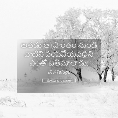 Picture 05 - మార్కు 5:10 TELIRV - అతడు ఆ ప్రాంతం - Bible Verse Picture