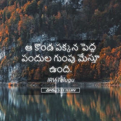Picture 05 - మార్కు 5:11 TELIRV - ఆ కొండ పక్కన పెద్ద - Bible Verse Picture