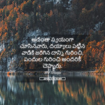 Picture 05 - మార్కు 5:16 TELIRV - అదంతా స్వయంగా - Bible Verse Picture