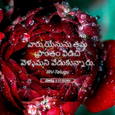 Picture 05 - మార్కు 5:17 TELIRV - వారు యేసును తమ - Bible Verse Picture