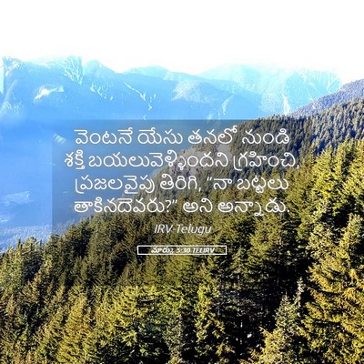 Picture 05 - మార్కు 5:30 TELIRV - వెంటనే యేసు తనలో - Bible Verse Picture