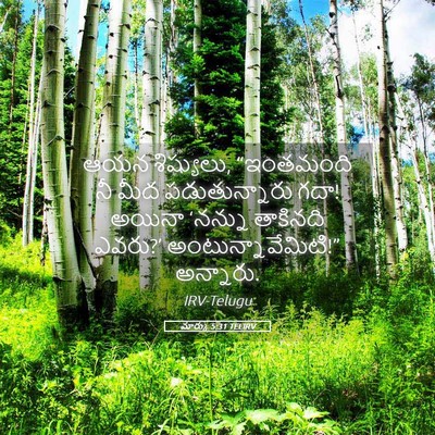 Picture 05 - మార్కు 5:31 TELIRV - ఆయన శిష్యులు, - Bible Verse Picture