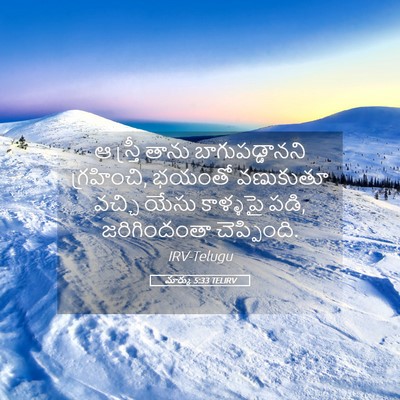 Picture 05 - మార్కు 5:33 TELIRV - ఆ స్త్రీ తాను - Bible Verse Picture