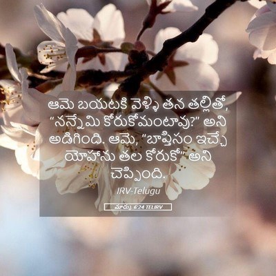 Picture 05 - మార్కు 6:24 TELIRV - ఆమె బయటకి వెళ్ళి - Bible Verse Picture