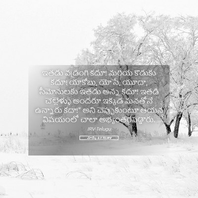 Picture 05 - మార్కు 6:3 TELIRV - ఇతడు వడ్రంగి కదూ! - Bible Verse Picture