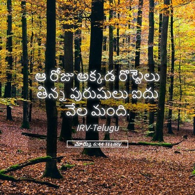 Picture 05 - మార్కు 6:44 TELIRV - ఆ రోజు అక్కడ - Bible Verse Picture