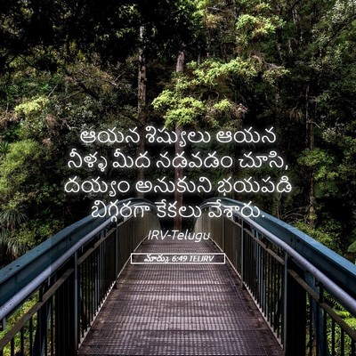 Picture 05 - మార్కు 6:49 TELIRV - ఆయన శిష్యులు ఆయన - Bible Verse Picture