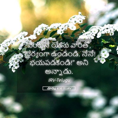 Picture 05 - మార్కు 6:50 TELIRV - వెంటనే యేసు - Bible Verse Picture