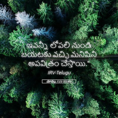 Picture 05 - మార్కు 7:23 TELIRV - ఇవన్నీ లోపలి - Bible Verse Picture