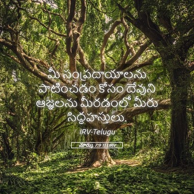 Picture 05 - మార్కు 7:9 TELIRV - మీ సంప్రదాయాలను - Bible Verse Picture